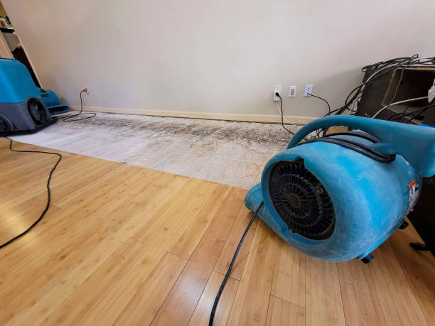 Reliable Basement Flood Cleanup contractor in Troy, TN by Hirex Water Damage