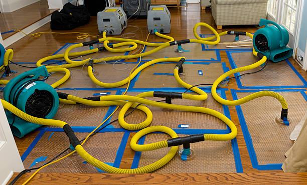 Professional Basement Flood Cleanup technician working in Troy, TN